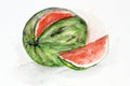 Big ripe watermelon