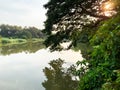 Big river and tree background