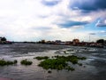 The big river,water hyacinth and blue sky background