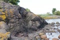 Big rock covered in yellow lichen in Vestfold, Norway Royalty Free Stock Photo