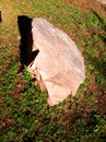 Big rock, green grass in the sunny evening