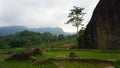 Big rock in the middle of rice fields Royalty Free Stock Photo