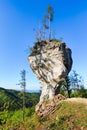 Veľká skala s názvom Budzogáň na Slovensku