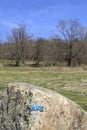 Big rock spreading LOVE in the world (New England winter scene with no snow, bare trees Royalty Free Stock Photo