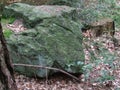 Big rock stone in the bavarian forest Royalty Free Stock Photo