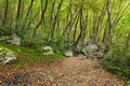 Big rock stone with special sign for hiking in beautiful autumn forest. Slovenia mountains trail. Travel and tourism concept