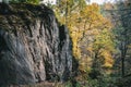 Big rock in surrounded by the yellow trees in the dense forest during the daytime Royalty Free Stock Photo