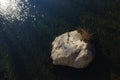 A big rock in water Royalty Free Stock Photo
