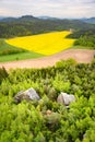 Big rocks fallen in a forest with table mountains and fields in background, Saxon Switzerland, Germany Royalty Free Stock Photo