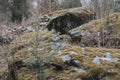 Big rocks in the forest Royalty Free Stock Photo