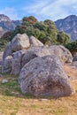 Big rocks in green nature with plants and trees around. Scenic view of large stone, lush foliage, and land outdoors Royalty Free Stock Photo