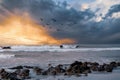 Big rocks on the sea shore, huge waves, birds flying in the sky, sun setting. Royalty Free Stock Photo