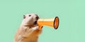Big rodent announcing using hand speaker. Notifying, warning, announcement