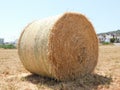 big roll harvested straw on the mown field Royalty Free Stock Photo