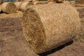Big roll of yellow straw on farmland, close up