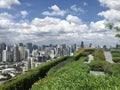 Big rooftop green garden with various trees and bushes with stone steps and grass platform with high building cityscape in Royalty Free Stock Photo