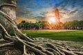 Big root of banyan tree land scape of ancient and old pagoda in