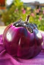 Big round eggplant Violet on the table