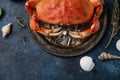 Big round metal black plate with cooked king crab served with ice cube. rosemary and seashells on dark blue background. Seafood Royalty Free Stock Photo