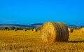 Big round straw bales in the meadow