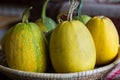 Big, round yellow pumpkins on wicker basket Royalty Free Stock Photo