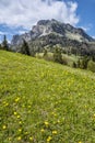 Big Rozsutec, Little Fatra, Slovakia, springtime scene Royalty Free Stock Photo