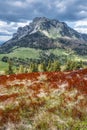 Big Rozsutec, Little Fatra, Slovakia, springtime scene Royalty Free Stock Photo