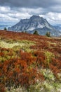 Big Rozsutec, Little Fatra, Slovakia, springtime scene Royalty Free Stock Photo