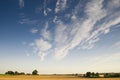 Big rural golden landscape