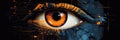 Big Safe Deposit Biometric Authentication Eye Scanning Blue Orange Black