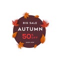 Big sale autumn benner with leaf background Royalty Free Stock Photo