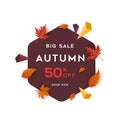 Big sale autumn benner with leaf vector Royalty Free Stock Photo