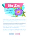 Big sale discount offer promo poster with pasque