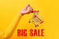 Big sale inscription