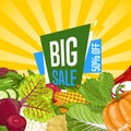 Big sale proposition for farm food banner