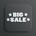 Big sale sign vector