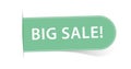 BIG SALE - vector green label banner on white background Royalty Free Stock Photo