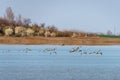 Big salt lake Slano Kopovo in north Serbia, remains of Panonian sea and natural habitat for many bird species. Special Nature Rese Royalty Free Stock Photo