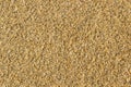 Big sand grains