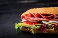 Big sandwich with ham, salami, tomato, cucumber Royalty Free Stock Photo