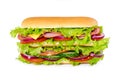 Big sandwich with ham, tomatoes, cucumbers, cheese, onion and sa Royalty Free Stock Photo