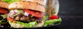Big sandwich - hamburger burger with beef, tomato, red onion Royalty Free Stock Photo