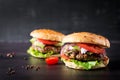 Big sandwich - hamburger burger with beef, tomato, red onion Royalty Free Stock Photo