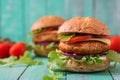 Big sandwich - hamburger with juicy chicken burger Royalty Free Stock Photo