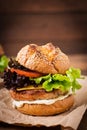 Big sandwich - hamburger with juicy turkey burger Royalty Free Stock Photo