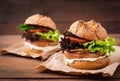 Big sandwich - hamburger with juicy turkey burger Royalty Free Stock Photo