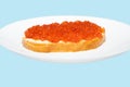 Big sandwich with red caviar and butter on the plate isolated on blue. Red salmon caviar Royalty Free Stock Photo