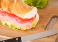 Big sandwich Royalty Free Stock Photo