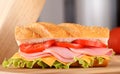 Big sandwich Royalty Free Stock Photo