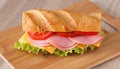 Big sandwich Royalty Free Stock Photo
